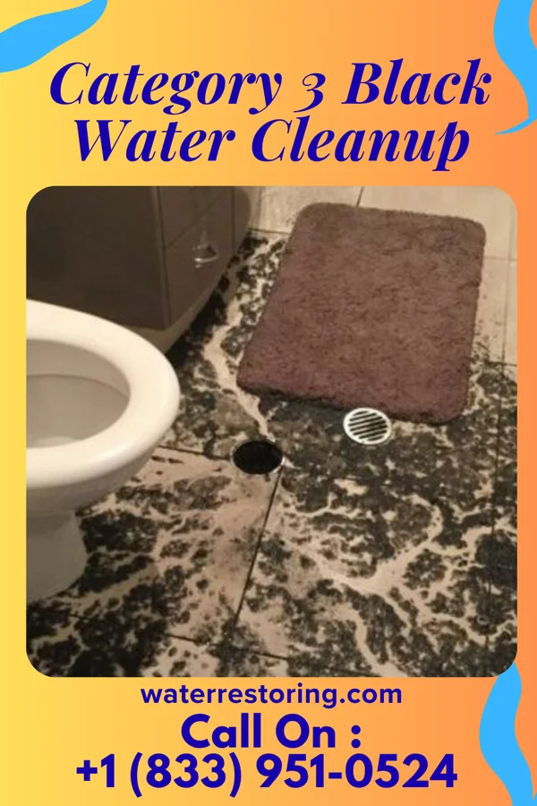 Category 3 Black Water Cleanup in Henry Fork, VA