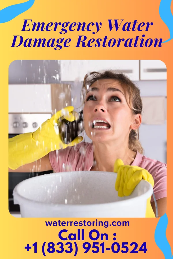 Emergency Water Damage Restoration in Henry Fork, VA