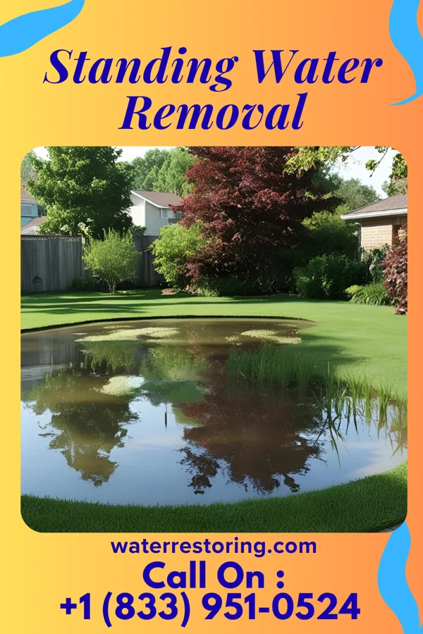 Standing Water Removal in Henry Fork, VA